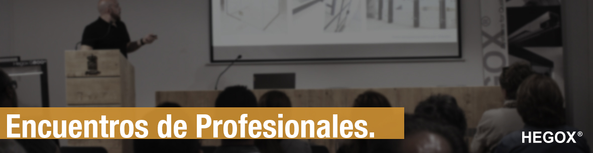 Encuentros de profesionales